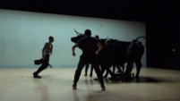 Movie: Bull's heart