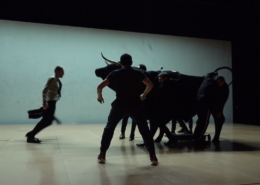 Movie: Bull's heart